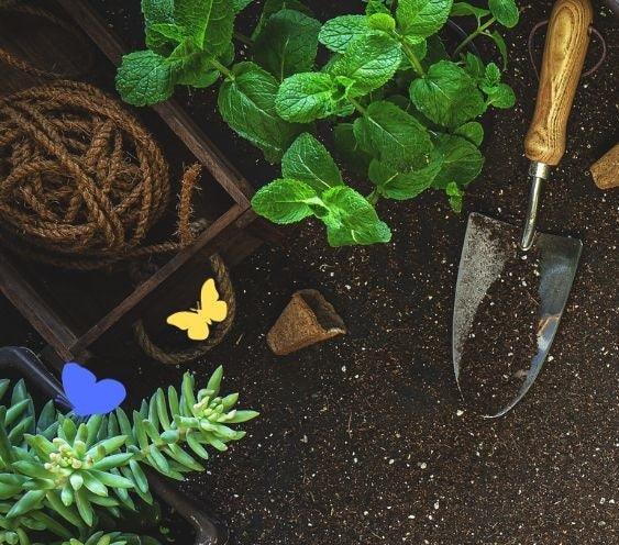 Garden Tools