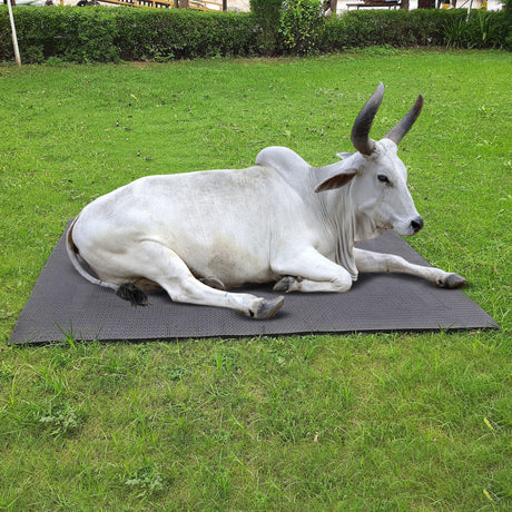 Cow Mat