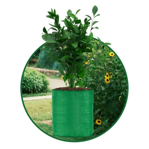 Grow bags for plants online