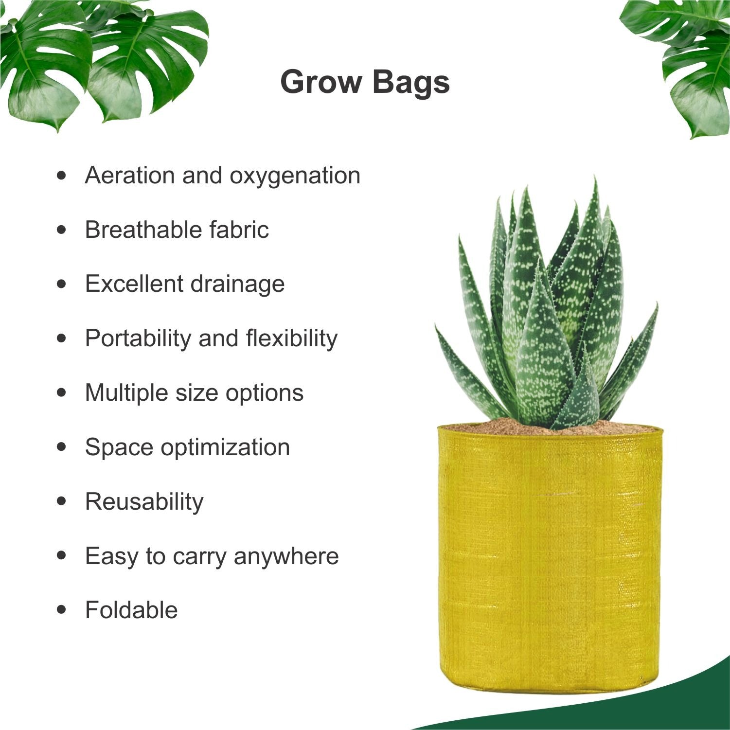 ONLY FOR ORGANIC - HDPE UV Treated Green Grow Bags for Home/Commercial  Gardening (Size-9x9 inch) - Pack of 5 : Amazon.in: Garden & Outdoors