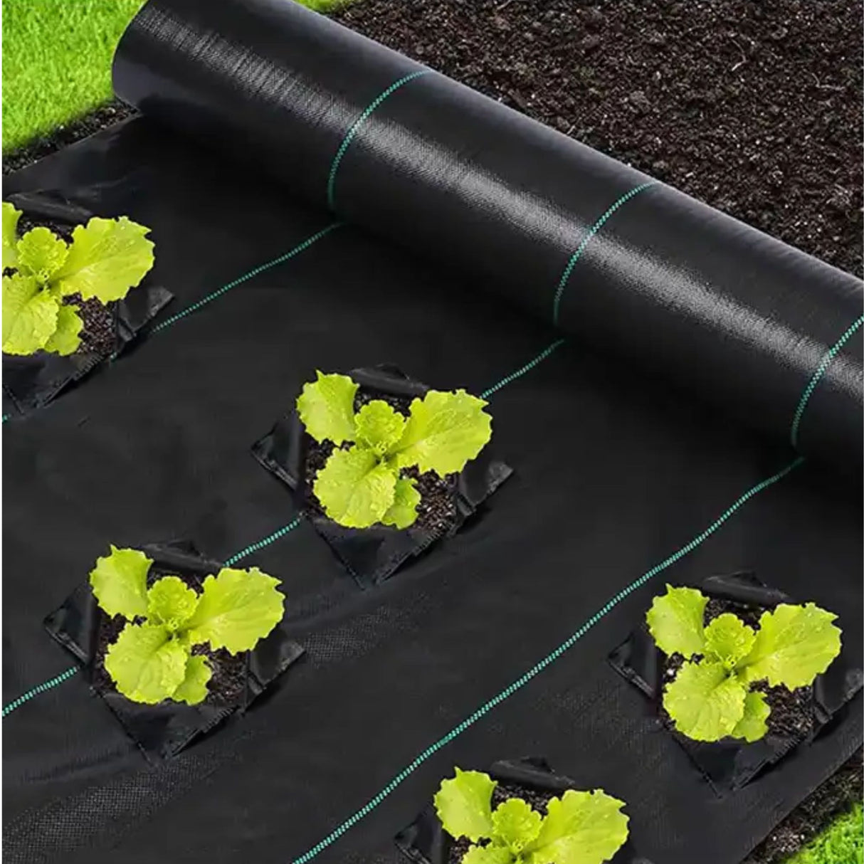 Heavy-Duty Black Garden Weed Control Mat 1x80m, 110 GSM Landscape Fabric for Effective Eco-Friendly Weed Blocking in Gardening