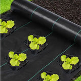 Heavy Duty Black Garden Weed Control Mat - 1m x 20m, 90 GSM Eco-Friendly Landscape Fabric for Effective Weed Blocking in Gardens