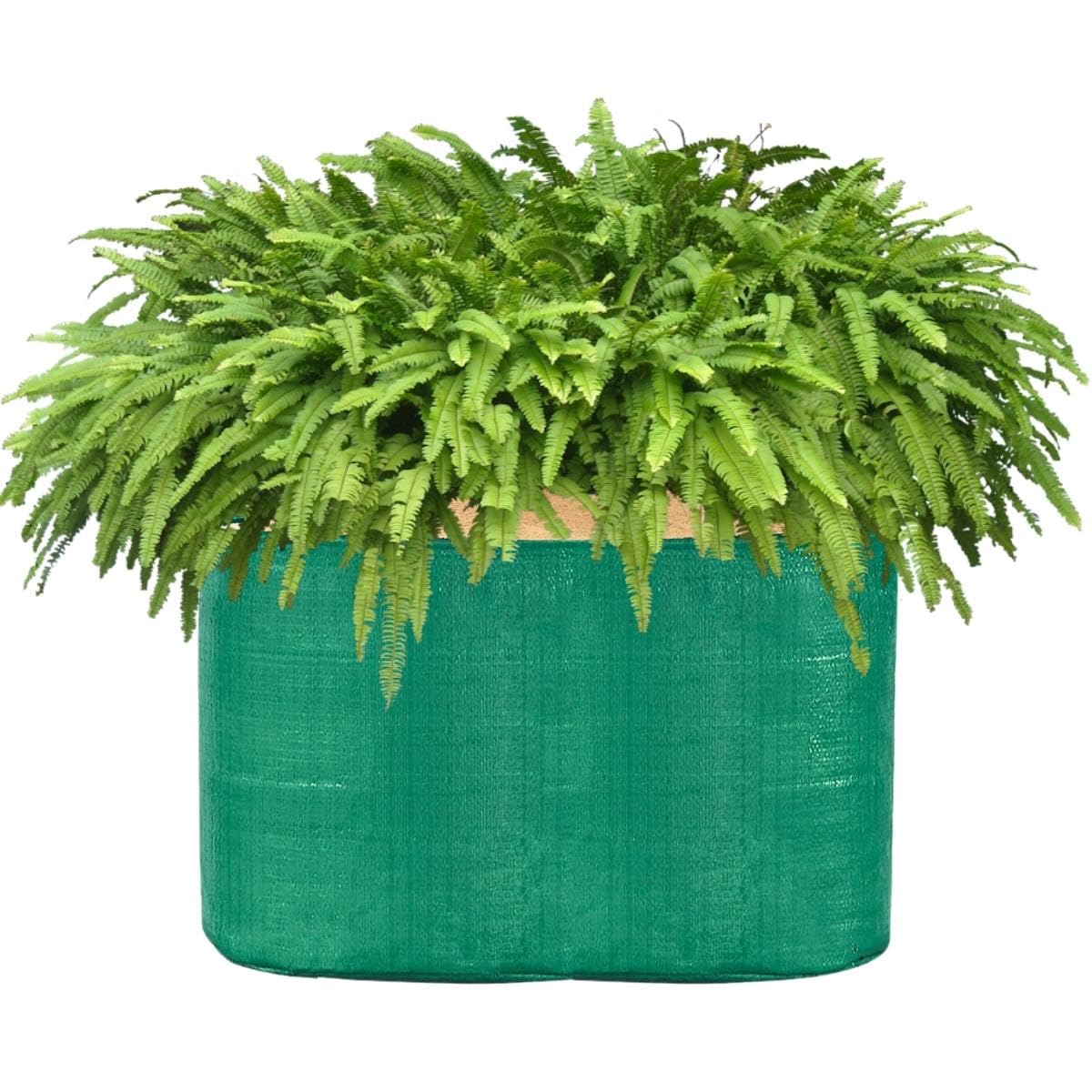 Grow Bags 15x9