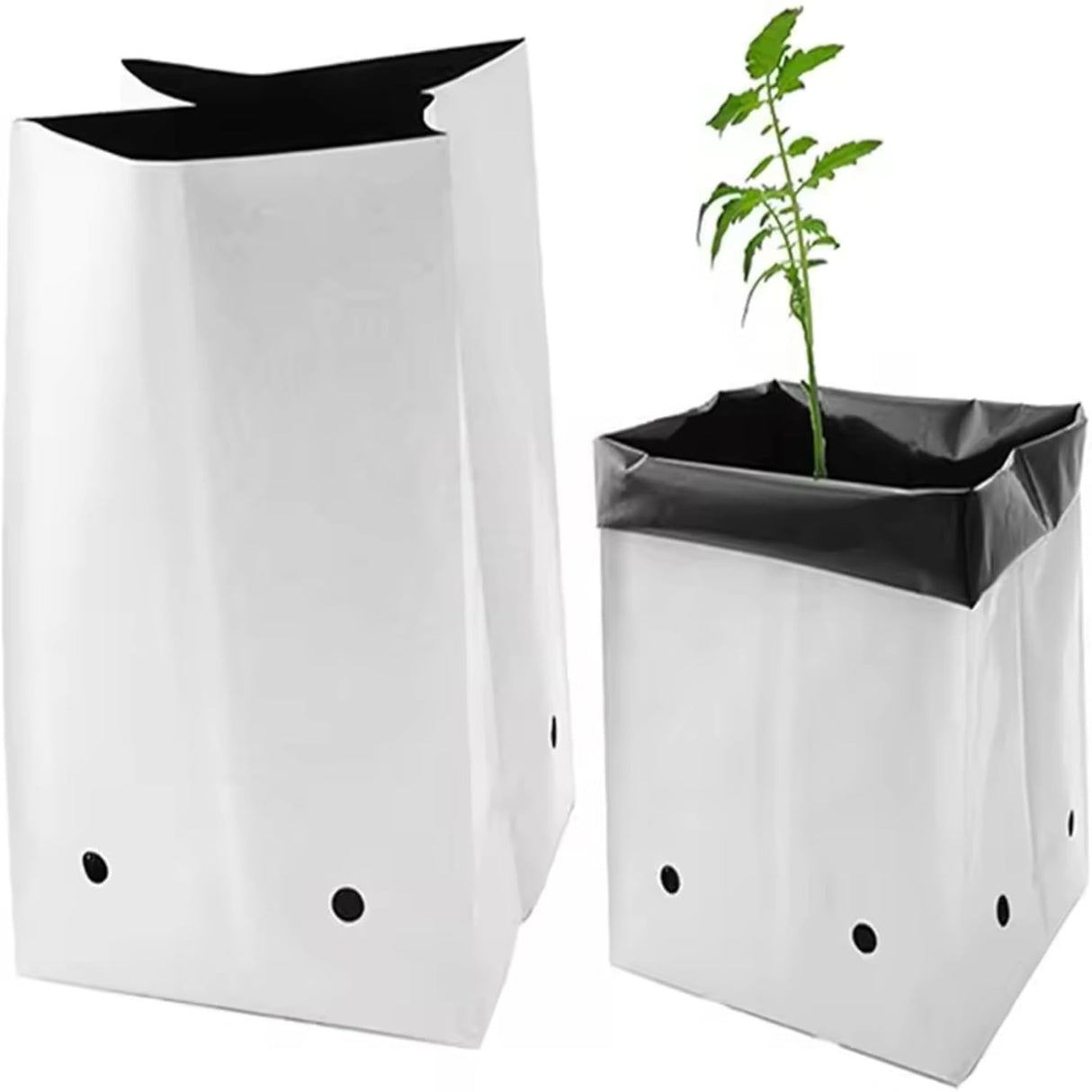 Poly Grow Bags - 10 pcs, 24x24x40 cm, White Outside, Black Inside. Perfect for growing vegetables and flowering plants. Durable and effective