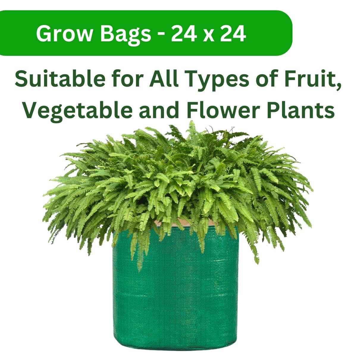15 x 12 Inches HDPE UV Protected Round Green Grow Bags for Plants Best Suitable for Terrace and Vegetable Gardening (50 Units)