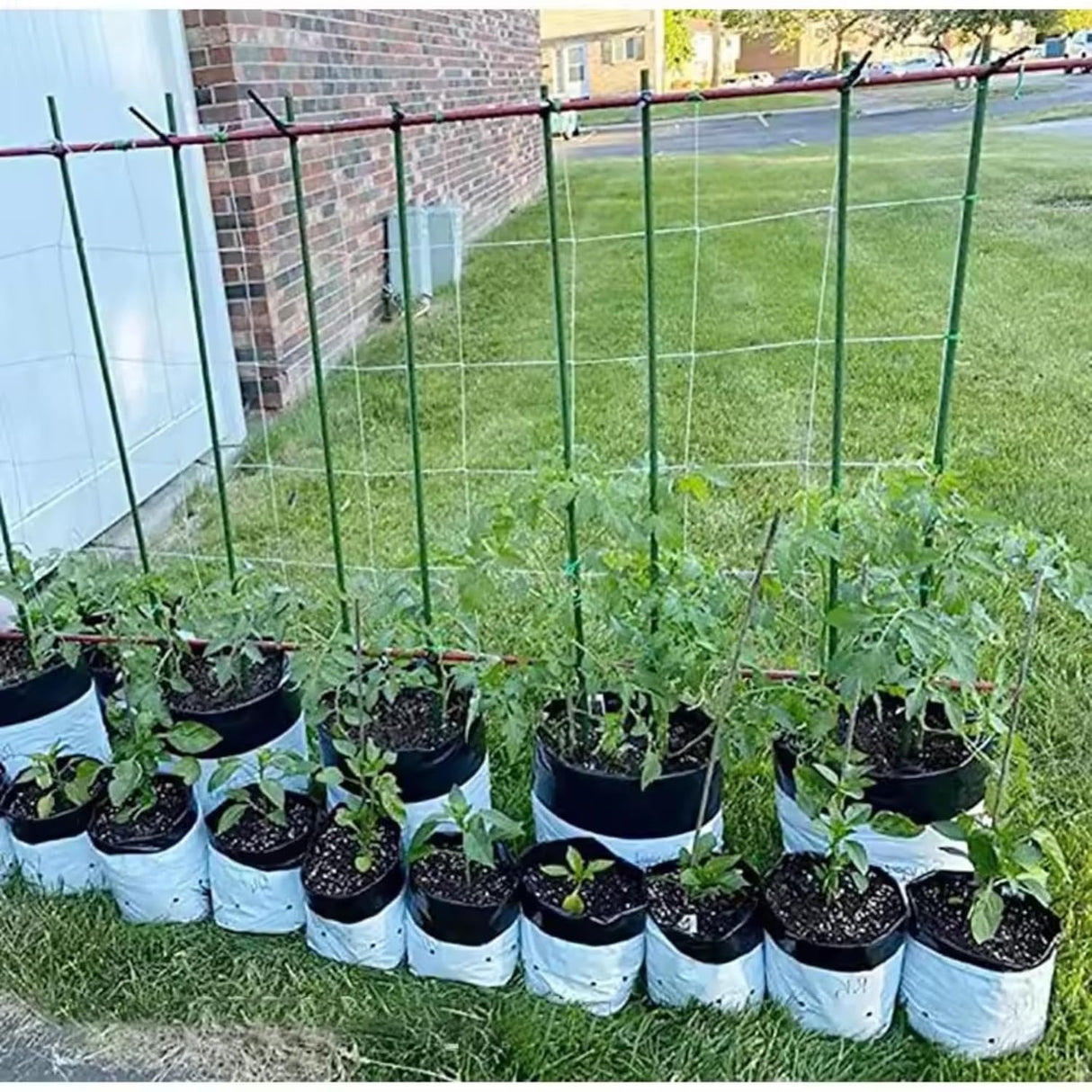 Poly Grow Bags - 5 pcs, 24x24x40 cm, White Outside, Black Inside, Great for Vegetables and Flowers. Perfect for all your gardening needs