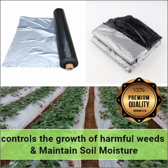 Singhal Weed Barrier Film Mulching Sheet | Heavy-Duty Ground Cover Eco Friendly Weed Control | Easy Setup & Superior Weed Control | Garden Soil Protector | Garden Safe | Silver, 1.2mx400m 25 Mic