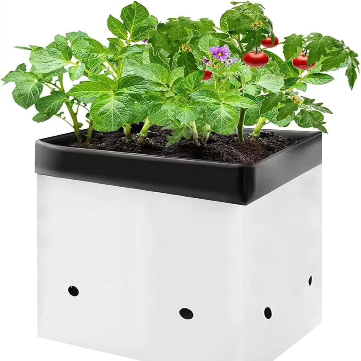 Poly Grow Bags - 10 pcs, 24x24x40 cm, White Outside, Black Inside. Perfect for growing vegetables and flowering plants. Durable and effective