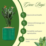 12x12 HDPE UV-protected round grow bags, pack of 4. Green color, perfect for terrace and vegetable gardening. Durable bags for robust plant growth.