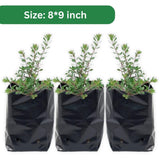 SINGHAL HDPE UV-Resistant Black Poly Grow Bags | 8x9, 25-Pack for Garden & Nursery