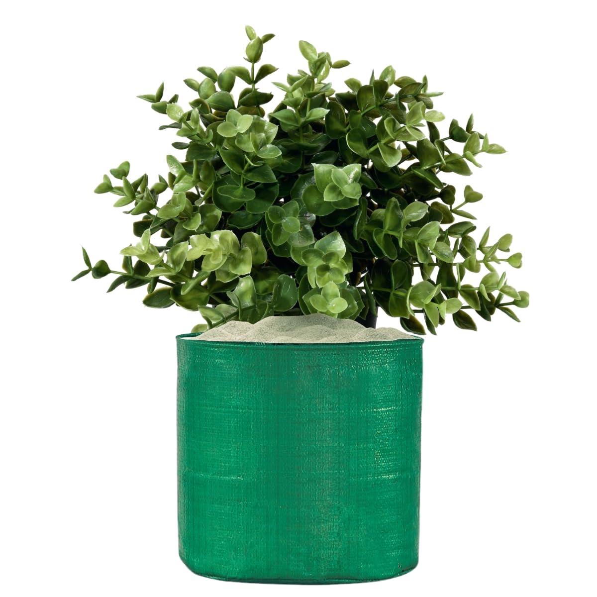 SINGHAL HDPE UV-Protected Round Grow Bags 12"x12", Pack of 5, Green - Ideal for Terrace & Vegetable Gardening