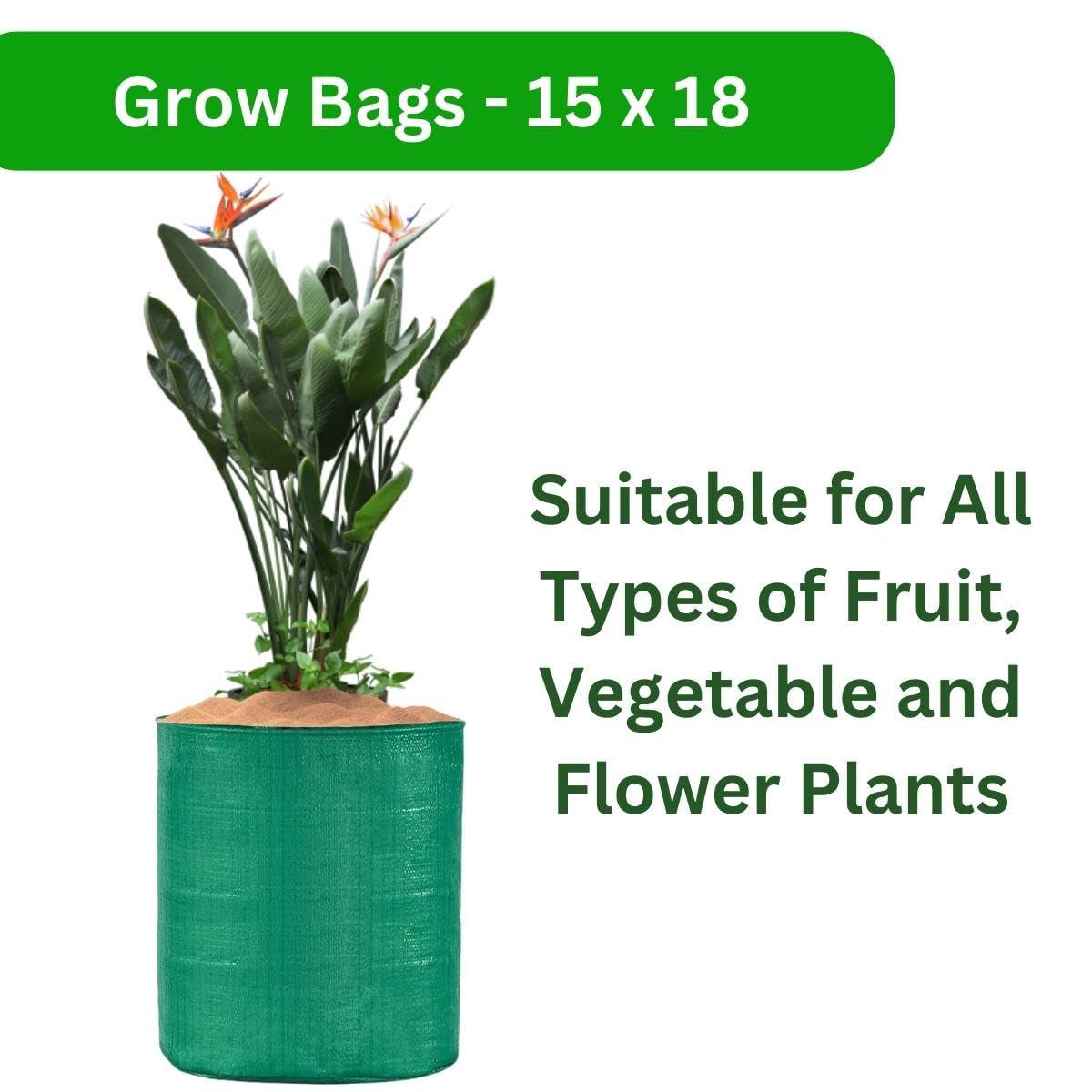 SINGHAL HDPE UV Protected Round Plants Grow Bags 15x18 Inches Pack of 10 Green Colour Suitable for Terrace and Vegetable Gardening