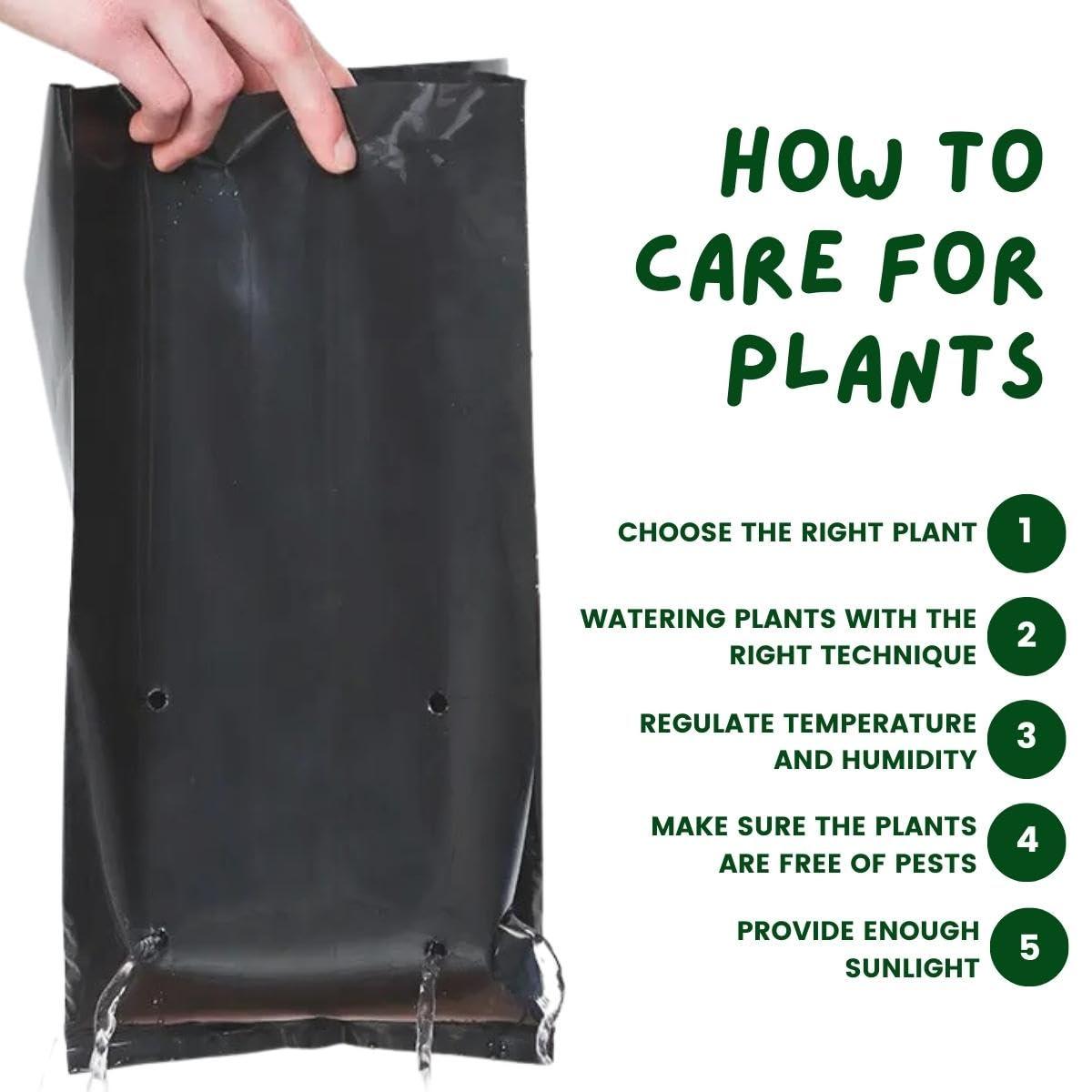 SINGHAL HDPE Garden UV Resistant Black Polyethylene Poly (PP) Grow Bag | Plant Grow Bags for Home Garden, Nursery, Terrace Gardening | 14x14 inches Combo Pack of 50