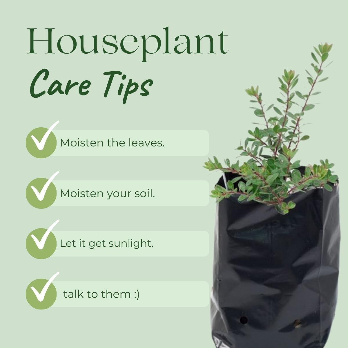 Singhal HDPE UV-Resistant Black Polypropylene Grow Bags, 9x10 inches, Combo Pack of 10 – Ideal for Home, Nursery, and Terrace Gardening.