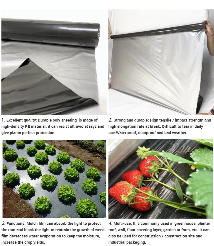 Singhal Weed Barrier Film Mulching Sheet | Heavy-Duty Ground Cover Eco Friendly Weed Control | Easy Setup & Superior Weed Control | Garden Soil Protector | Garden Safe | Silver, 1.2mx400m 25 Mic