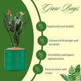 SINGHAL 12x18 Inch Pack of 5 HDPE Plants Grow Bags UV Protected Round Green Color for Terrace and Vegetable Gardening
