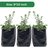 9x10 HDPE UV-resistant black grow bags, pack of 30. Durable polyethylene bags for home gardens, nurseries, and terrace gardening. Perfect for plants.