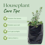 SINGHAL HDPE UV-Resistant Black Poly Grow Bags | 14x14 inch | Pack of 10 | Ideal for Home, Nursery, and Terrace Gardens