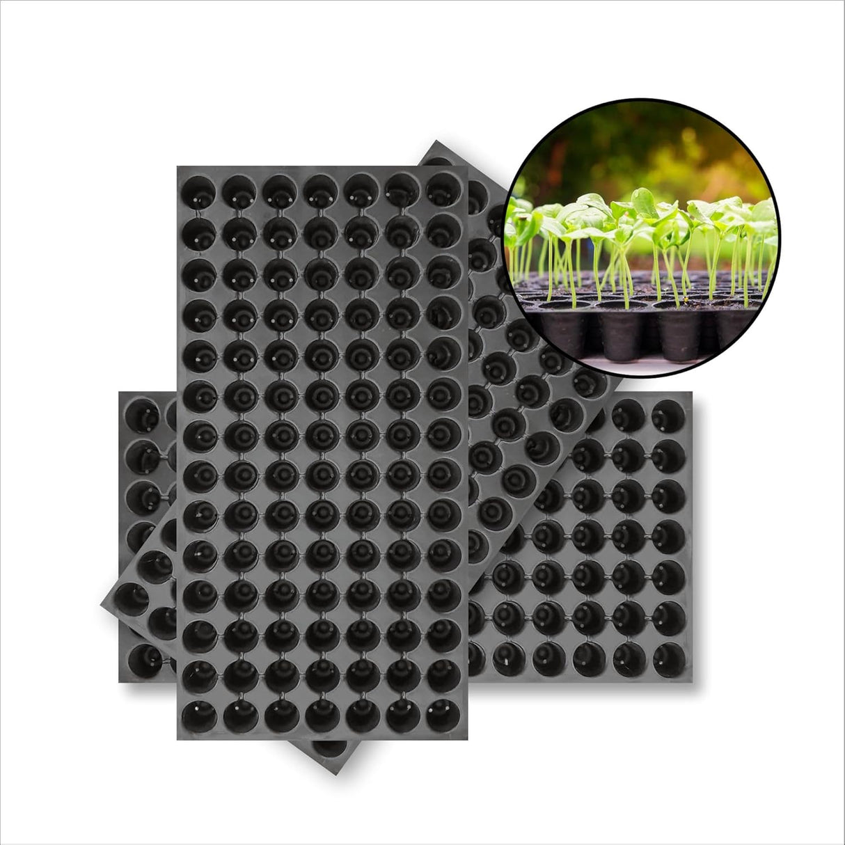 SINGHAL Seedling Tray - Pack of 10 (Black, 98 Holes) Germination Trays for Seedling, Nursery Trays for Plants, Reusable Plastic Trays for Garden Plantation, 98 Cavities Tray for Seeding