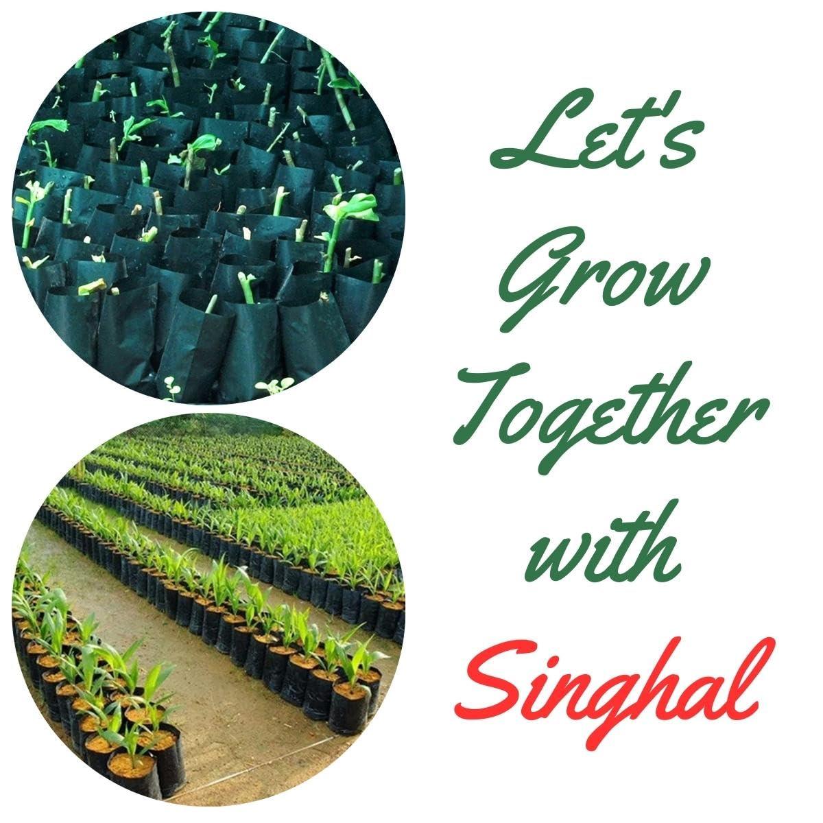 SINGHAL HDPE UV-Resistant Black Poly Grow Bags | 14x14 inch | Pack of 10 | Ideal for Home, Nursery, and Terrace Gardens