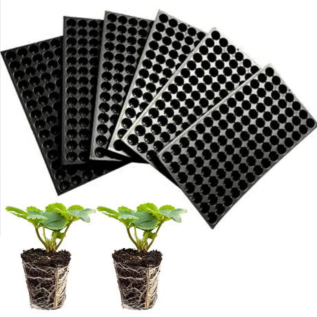 Seedling Tray for Cultivate Seeds-98 holes per Tray - Singhal Mart