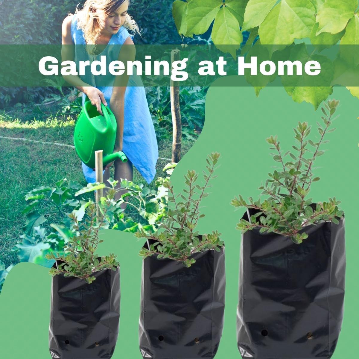 SINGHAL HDPE UV-Resistant Black Poly Grow Bags | 14x14 inches, Pack of 25 | Ideal for Home & Terrace Gardens