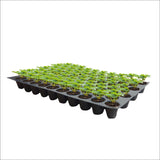SINGHAL Seedling Tray - Pack of 20 (Black, 70 Holes) Germination Trays for Seedling, Nursery Trays for Plants, Reusable Plastic Trays for Garden Plantation, 70 Cavities Tray for Seeding