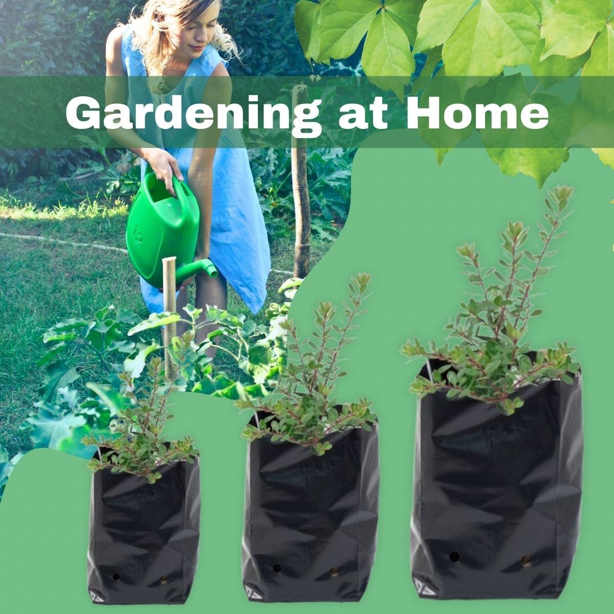 SINGHAL HDPE Garden UV Resistant Black Polyethylene Poly (PP) Grow Bag | Plant Grow Bags for Home Garden, Nursery, Terrace Gardening | 14x14 inches Combo Pack of 50