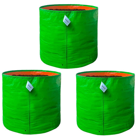 SINGHAL 24x24 inch Big Grow Bags Pack of 3 for Home Gardening, HDPE Plants Bag for Fruits, Vegetables Flowers, 260 GSM Grow Bag, UV Protected