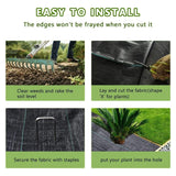 Singhal Premium Garden Weed Control Barrier Sheet Mat 2 Meter x 3 Meter, Landscape Fabric 110 GSM Heavy Duty Weed Block Gardening Mat for Gardens, Agriculture, Outdoor Projects (Black)