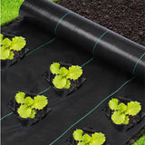 Singhal Garden Weed Control Mat 1 x 10 Meter, Heavy Duty 125 GSM Landscape Fabric, Weed Block Gardening Mat Eco-Friendly Weed Control Bed Gardening Mat, Black