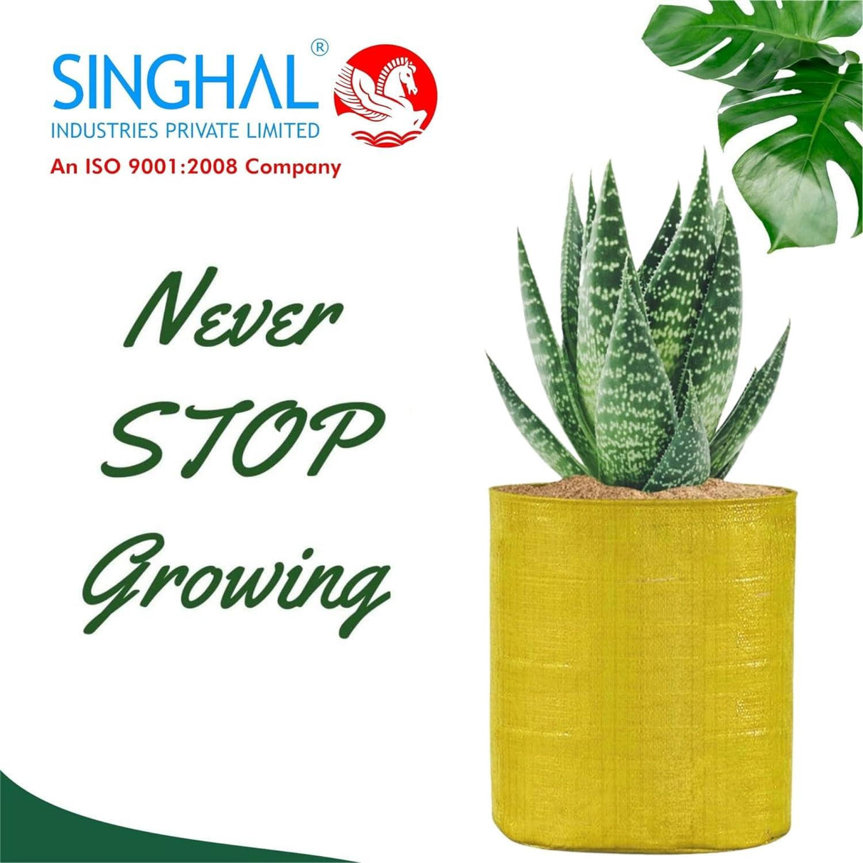 Singhal HDPE UV-Protected Yellow Round Grow Bags, 24x24 Inch - Perfect for Terrace and Vegetable Gardening - Set of 10