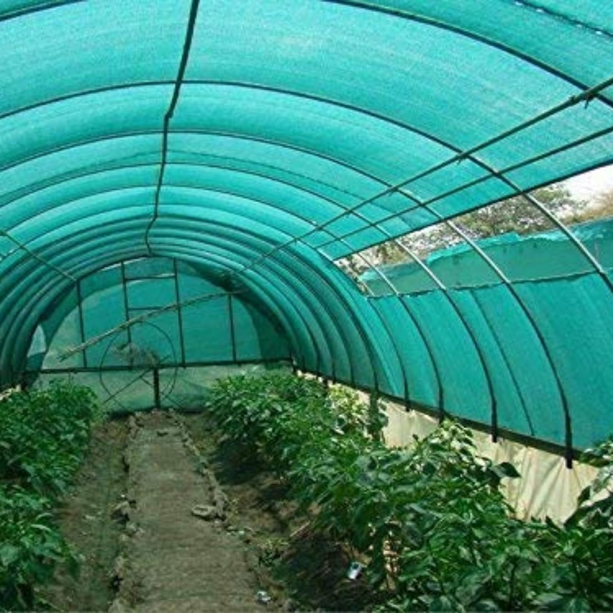 Singhal HDPE Nets Green Shade Net 50% UV Protected 3 Meter x 15 Meter for Floriculture, Ornamental Plants, Gardening Multipurpose with Attached Eyelets on Every Meter