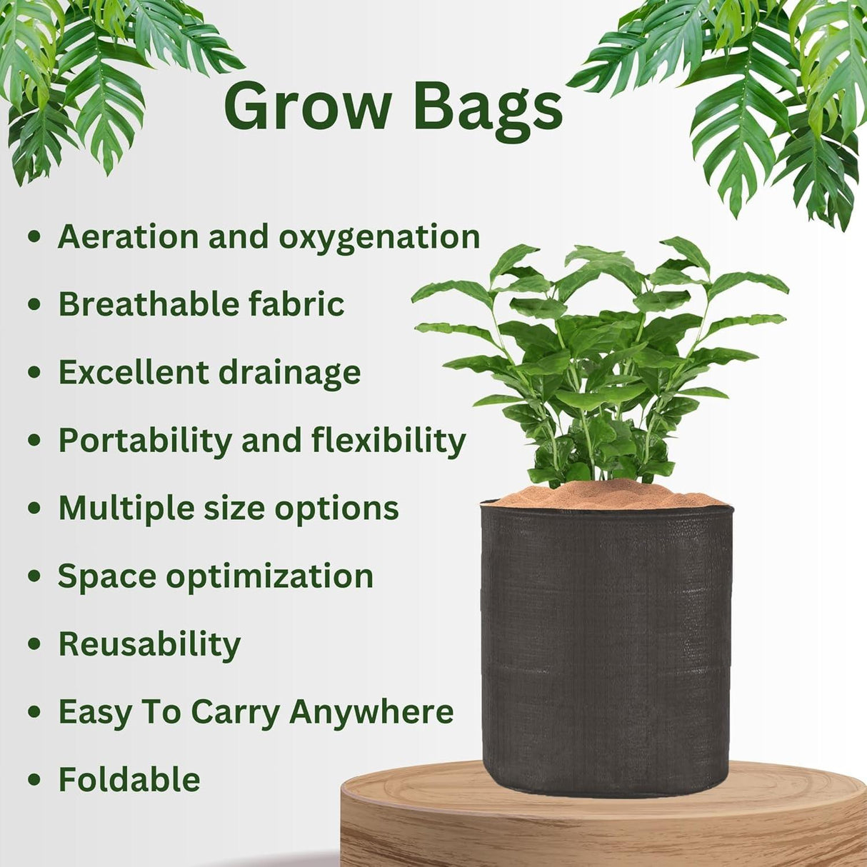 SINGHAL HDPE UV-Resistant Round Grow Bags 24x24 Inch, Black, Pack of 10 – Ideal for Terrace & Veggie Gardens