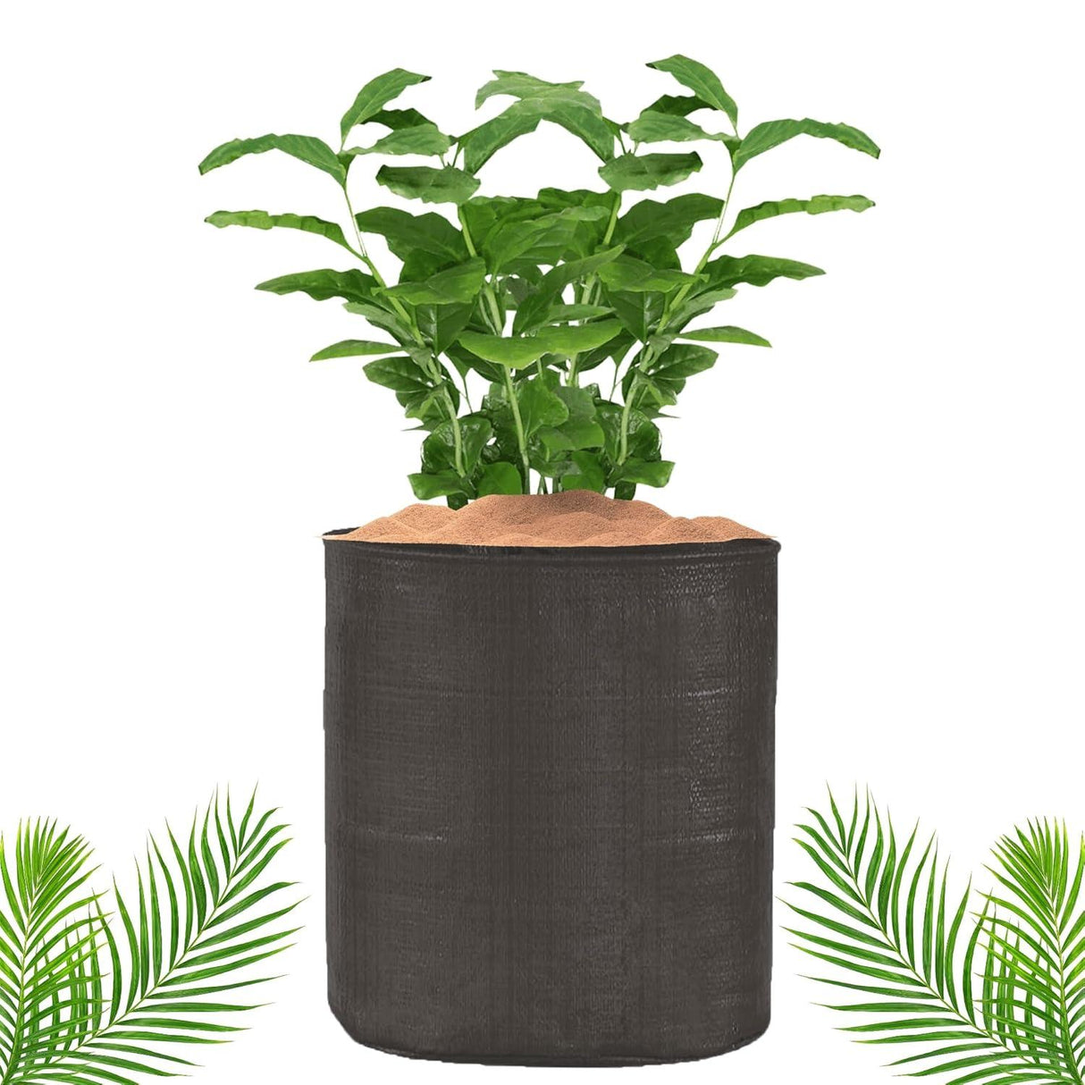 SINGHAL HDPE UV-Resistant Round Grow Bags 24x24 Inch, Black, Pack of 10 – Ideal for Terrace & Veggie Gardens