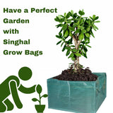 SINGHAL HDPE UV-Protected Rectangular Grow Bags 18x12x12 Inches, Pack of 10, Green - Ideal for Terrace & Vegetable Gardening