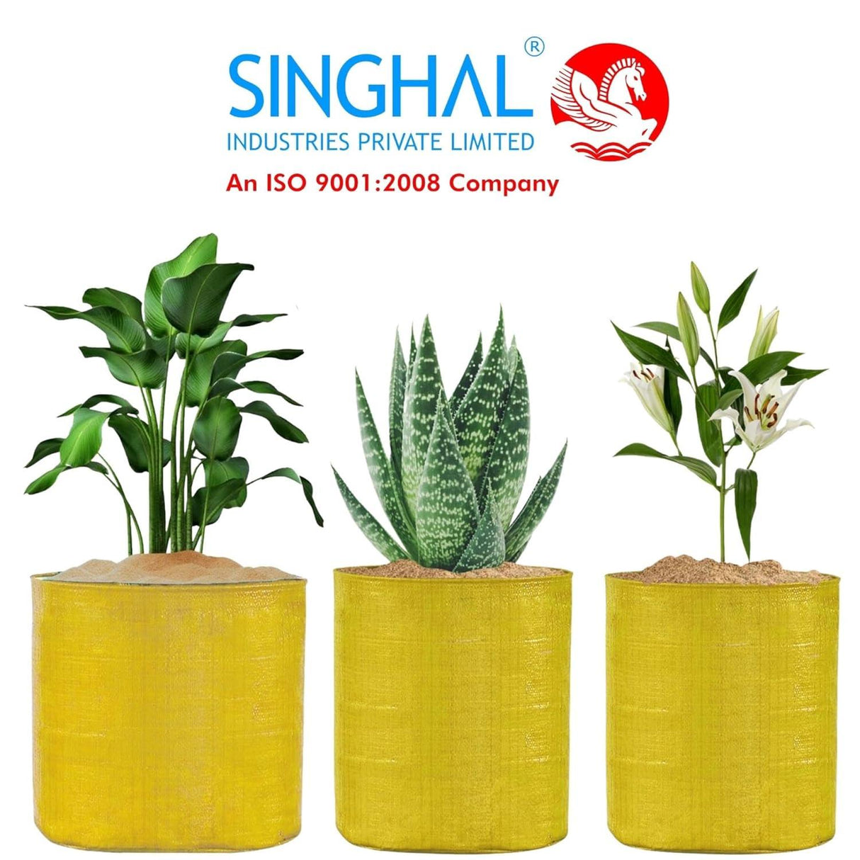 Combo Pack of 5 SINGHAL HDPE UV-Protected Yellow Round Grow Bags (24x24 Inch) – Perfect for Terrace and Vegetable Gardening