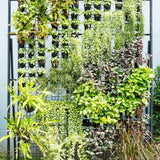 Singhal Vertical Garden Pots Outdoor Use and Indoor Use | 1 Panel and 3 Pots | Wall Hanging, Black Color