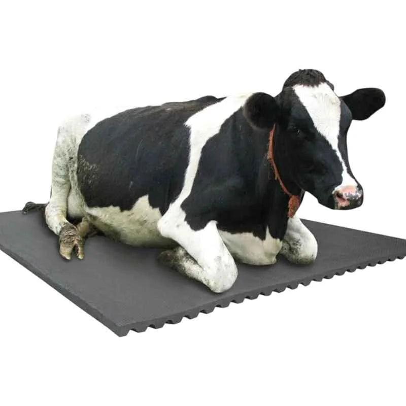 Cow-Mat Animal Feeding Mat, measuring 8 x 5 feet, designed to enhance comfort and efficiency for your livestock feeding needs