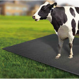 Cow-Mat Animal Feeding Mat, measuring 8 x 5 feet, designed to enhance comfort and efficiency for your livestock feeding needs