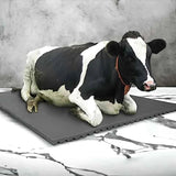 Cow-Mat Animal Feeding Mat, measuring 8 x 5 feet, designed to enhance comfort and efficiency for your livestock feeding needs