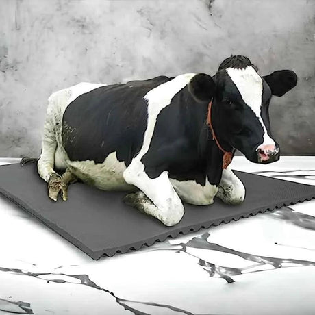 Cow-Mat Animal Feeding Mat, measuring 8 x 5 feet, designed to enhance comfort and efficiency for your livestock feeding needs