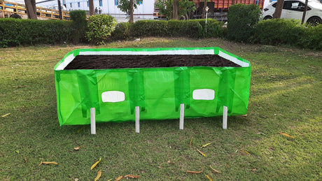 vermicompost bed