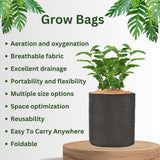 Black Grow Bags Size 9x9  to 24x24 Inch - Singhal Mart