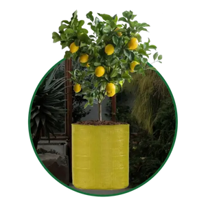 Yellow Grow Bags Size 9x9  to 24x24 Inch