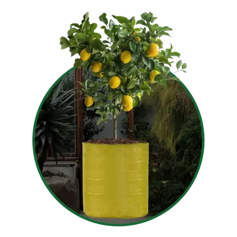 Yellow Grow Bags Size 9x9  to 24x24 Inch
