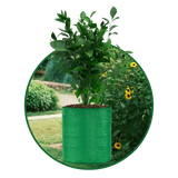 HDPE UV Protected Round Plants Grow Bags, Green Color Ideal for Terrace and Vegetable Gardening