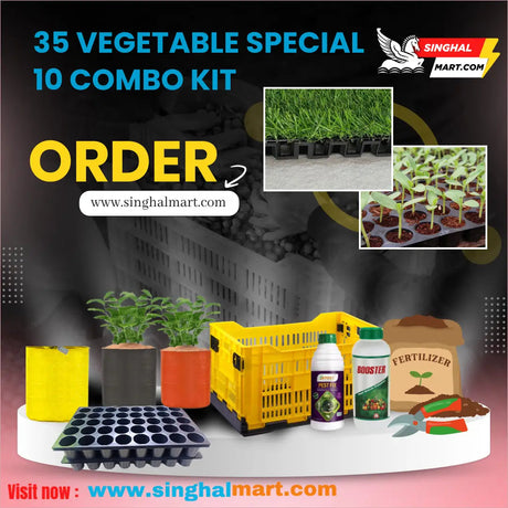 35 Vegetable Special  Kit, 10 Combo Grow Kit for your Garden - Singhal Mart