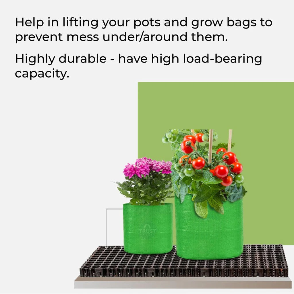 35 Flower Special Kit,  10 Combo Grow Kit for your Garden - Singhal Mart