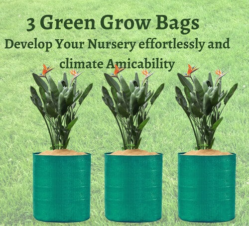 16 Flower Seedling, 5 Combo grow Kit your Garden - Singhal Mart